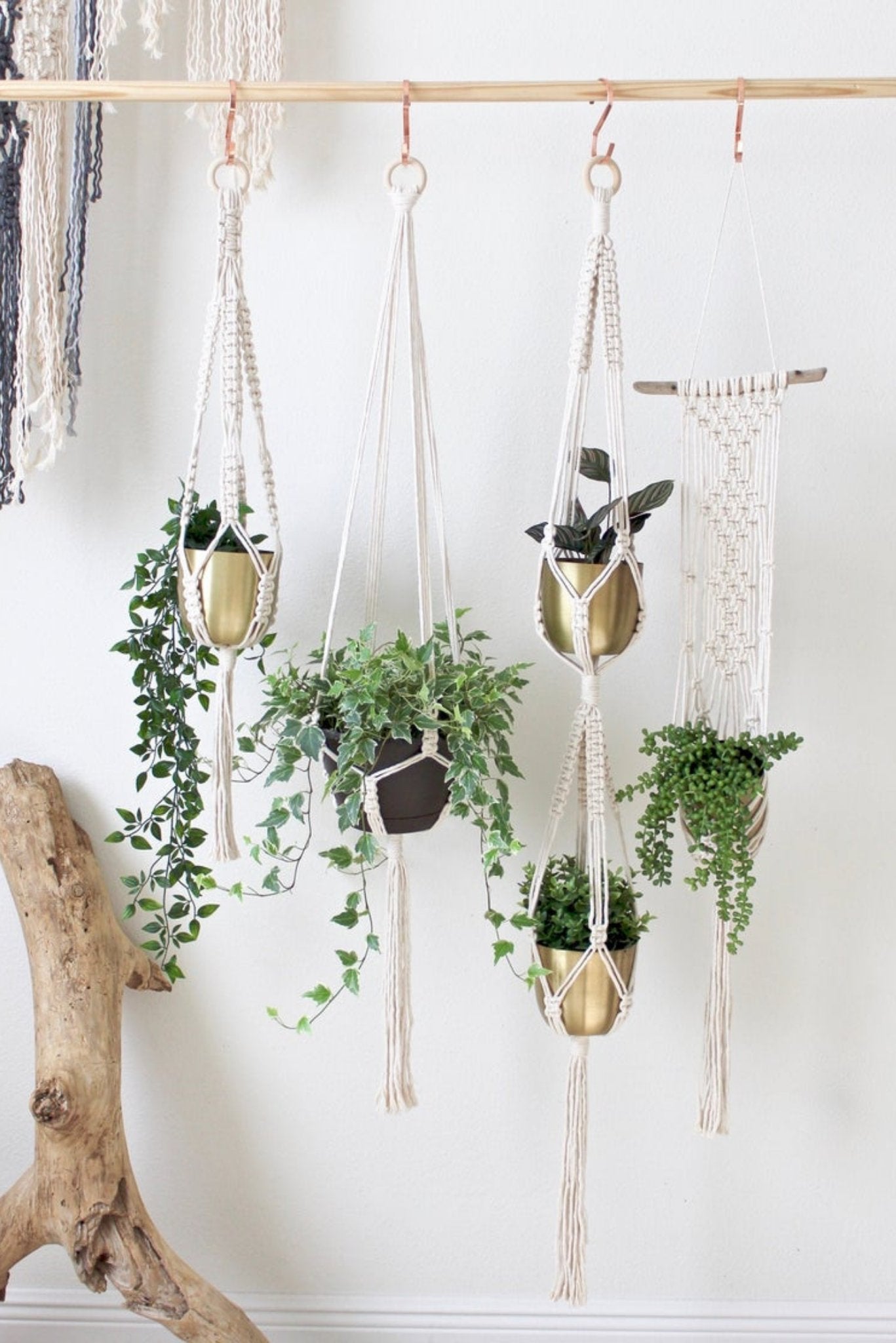 Gifts for Plant Lovers! - Pretty Collected