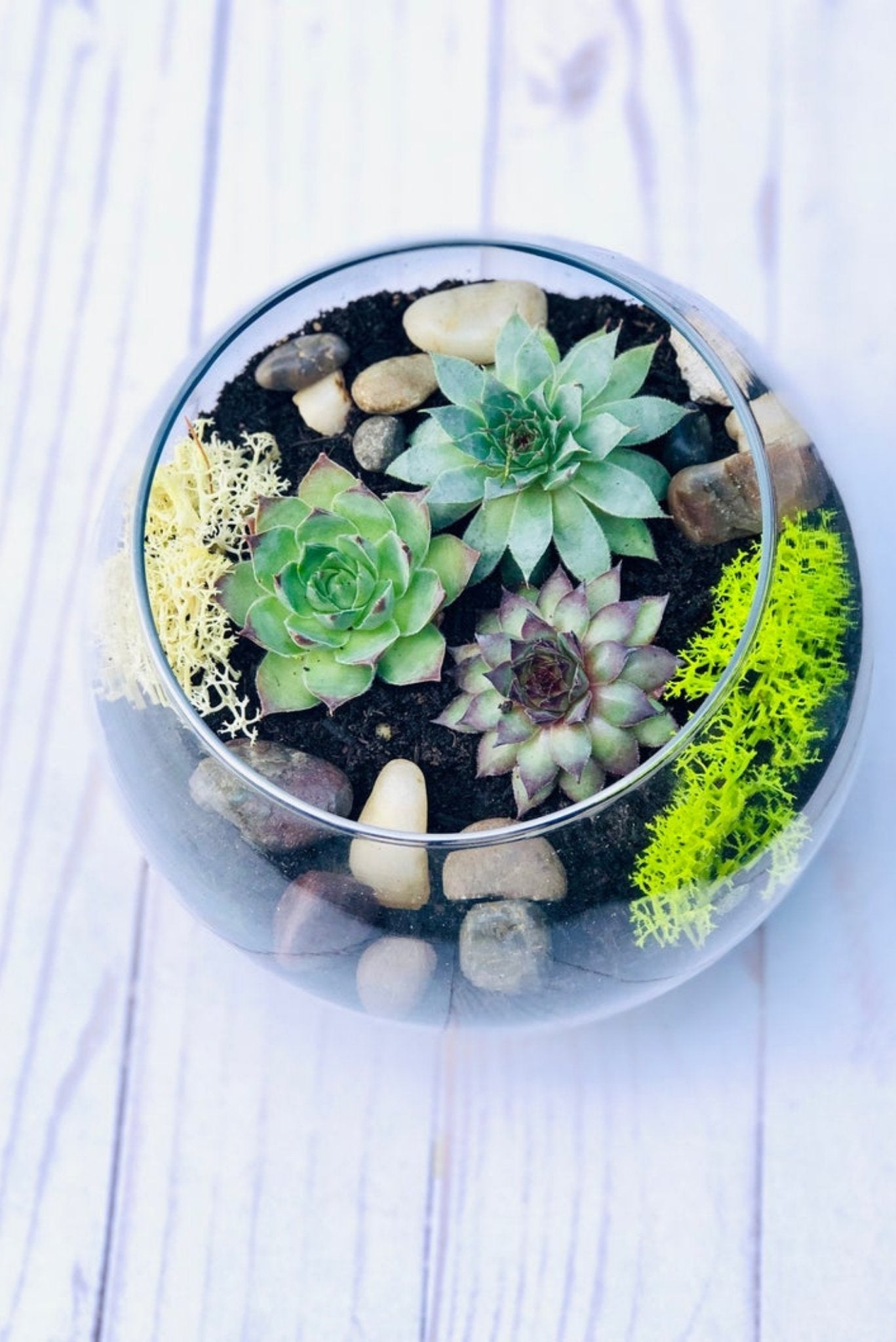 DIY Glass Terrarium! - Pretty Collected