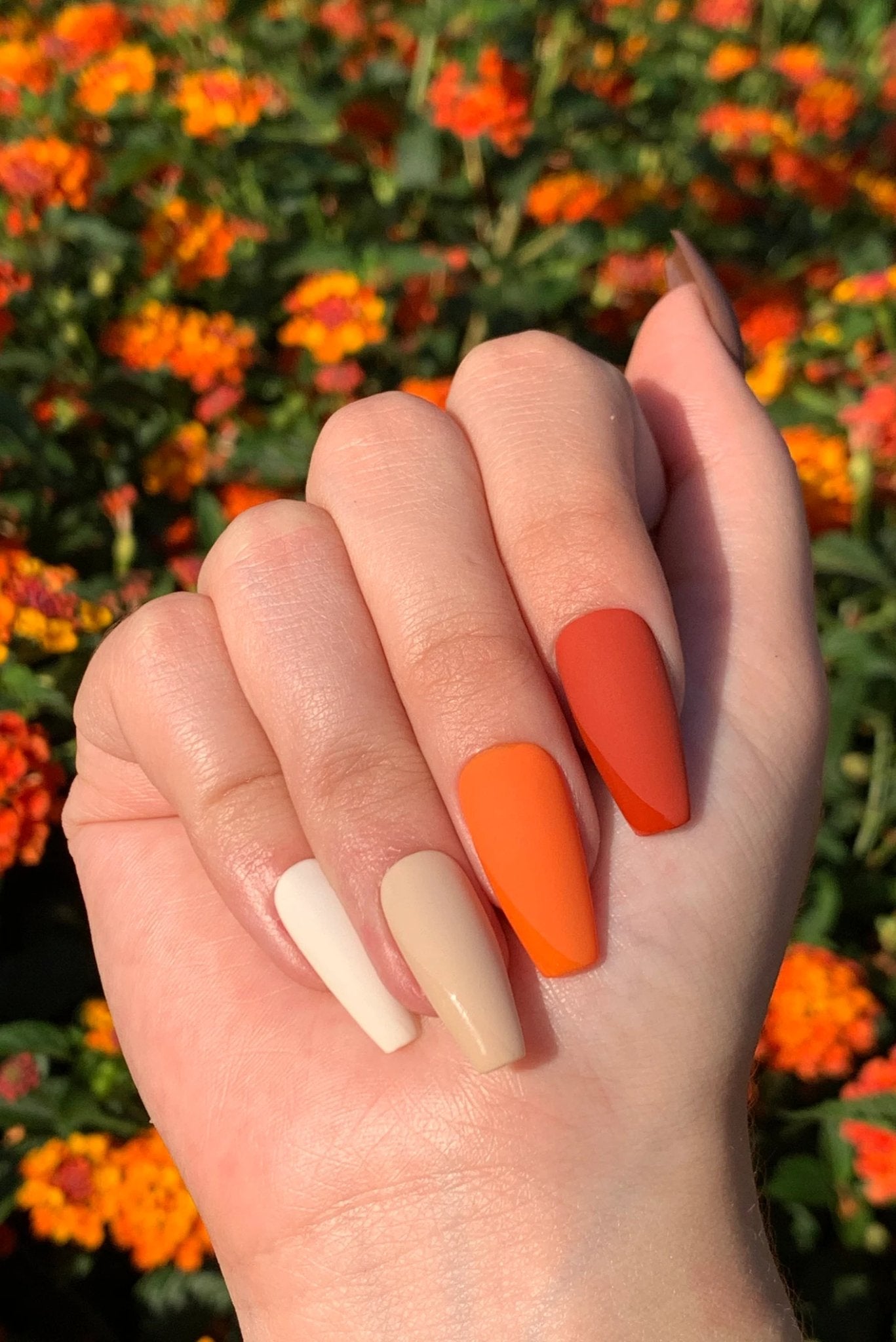 Trendy Fall Nails 2022 - Pretty Collected