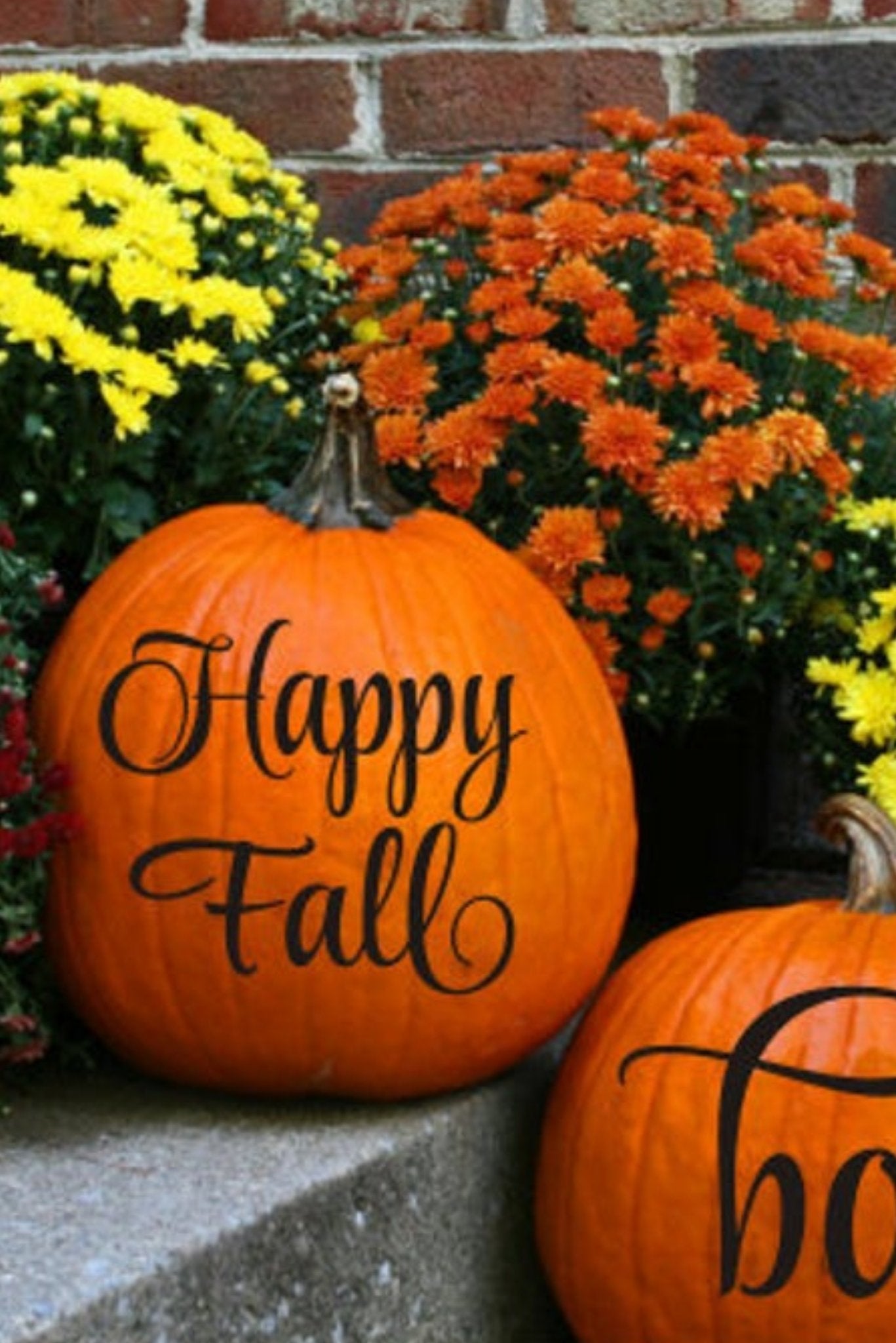 Fall Pumpkin Decor - Pretty Collected