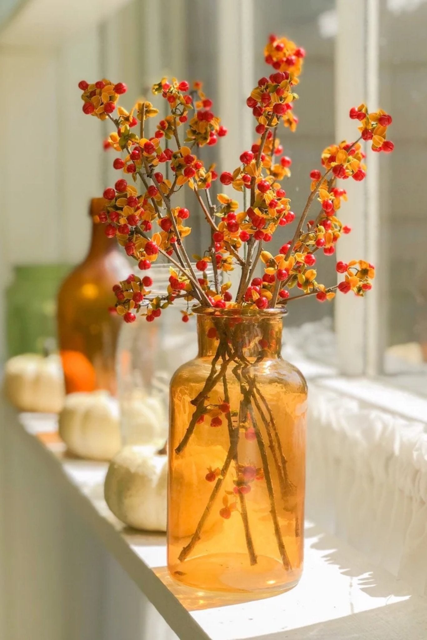 Our Top and Inexpensive Fall Decor Finds - Pretty Collected