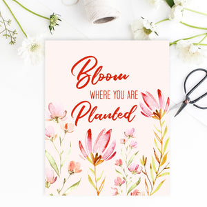 Bloom Where You Are Planted - FREE Printable - Pretty Collected