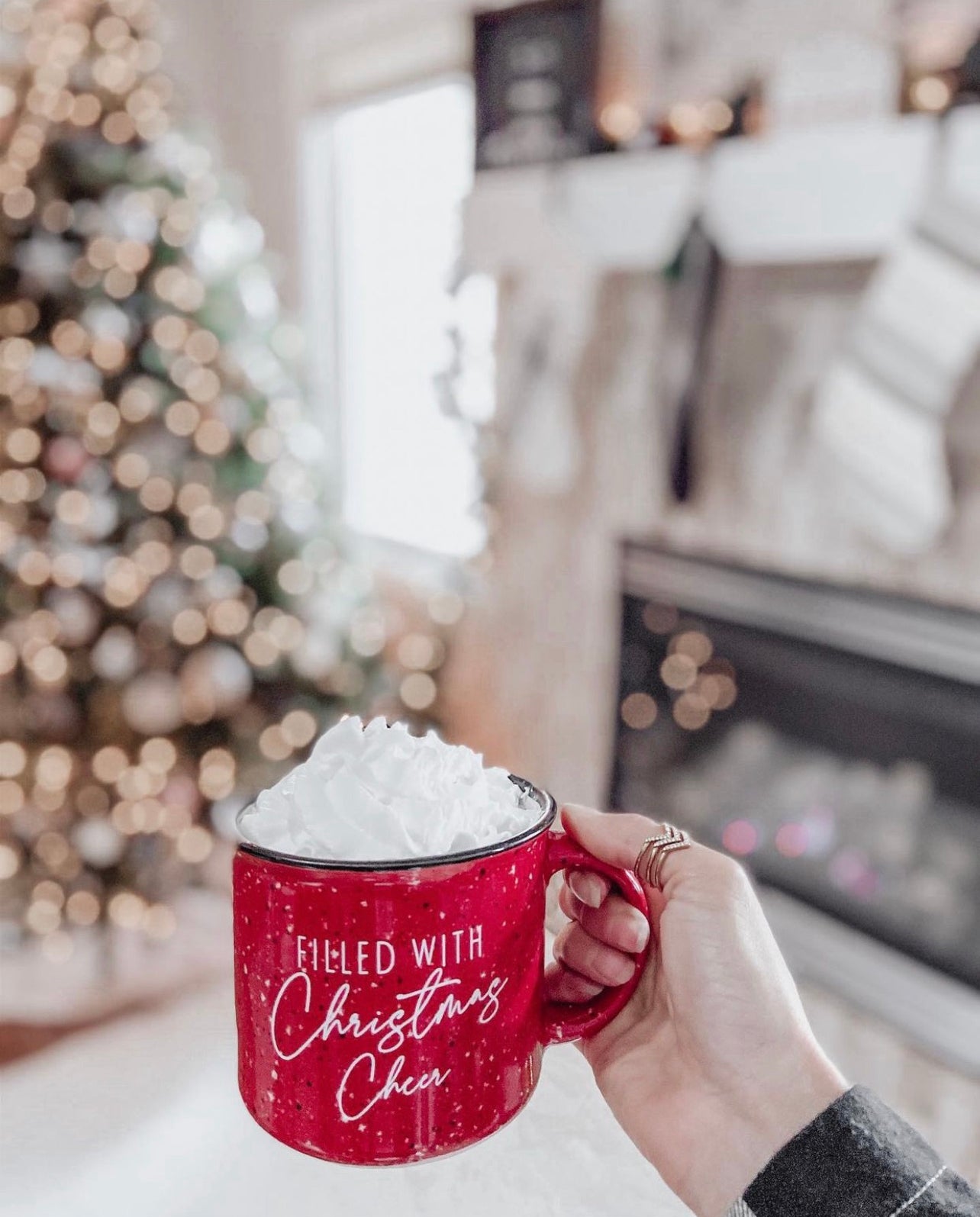 https://prettycollected.com/cdn/shop/products/FilledwithChristmasCheerMug-HolidayCampfireMug-PrettyCollected_5000x.jpg?v=1665774768